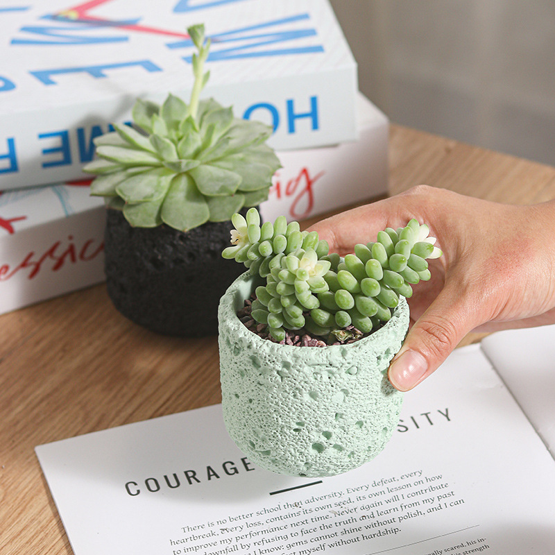Creative Round Concrete Flower - огляд і ціна Potsticker Mold