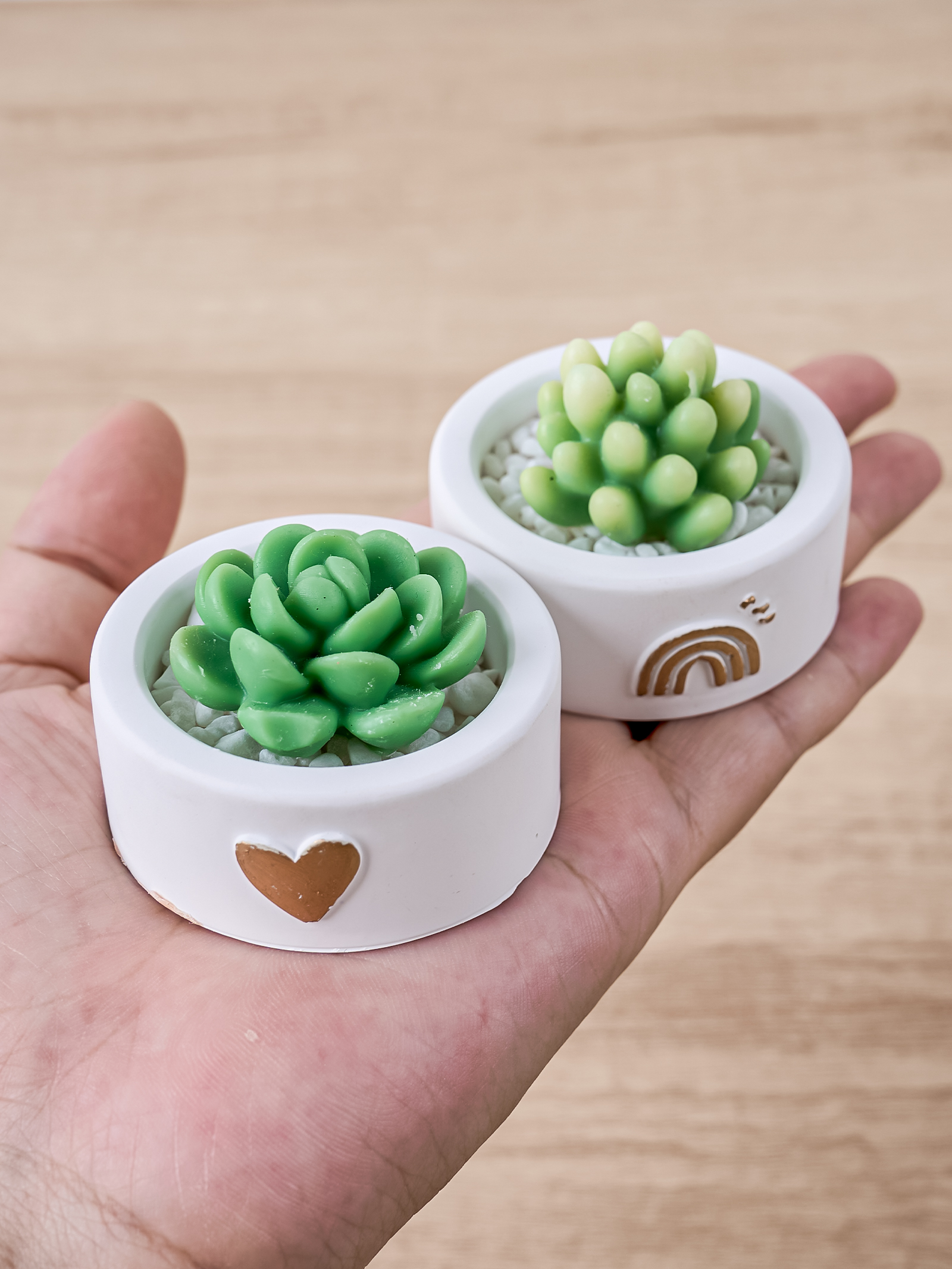 Round Candle Cup Holder Silico - огляд і ціна Potsticker Mold